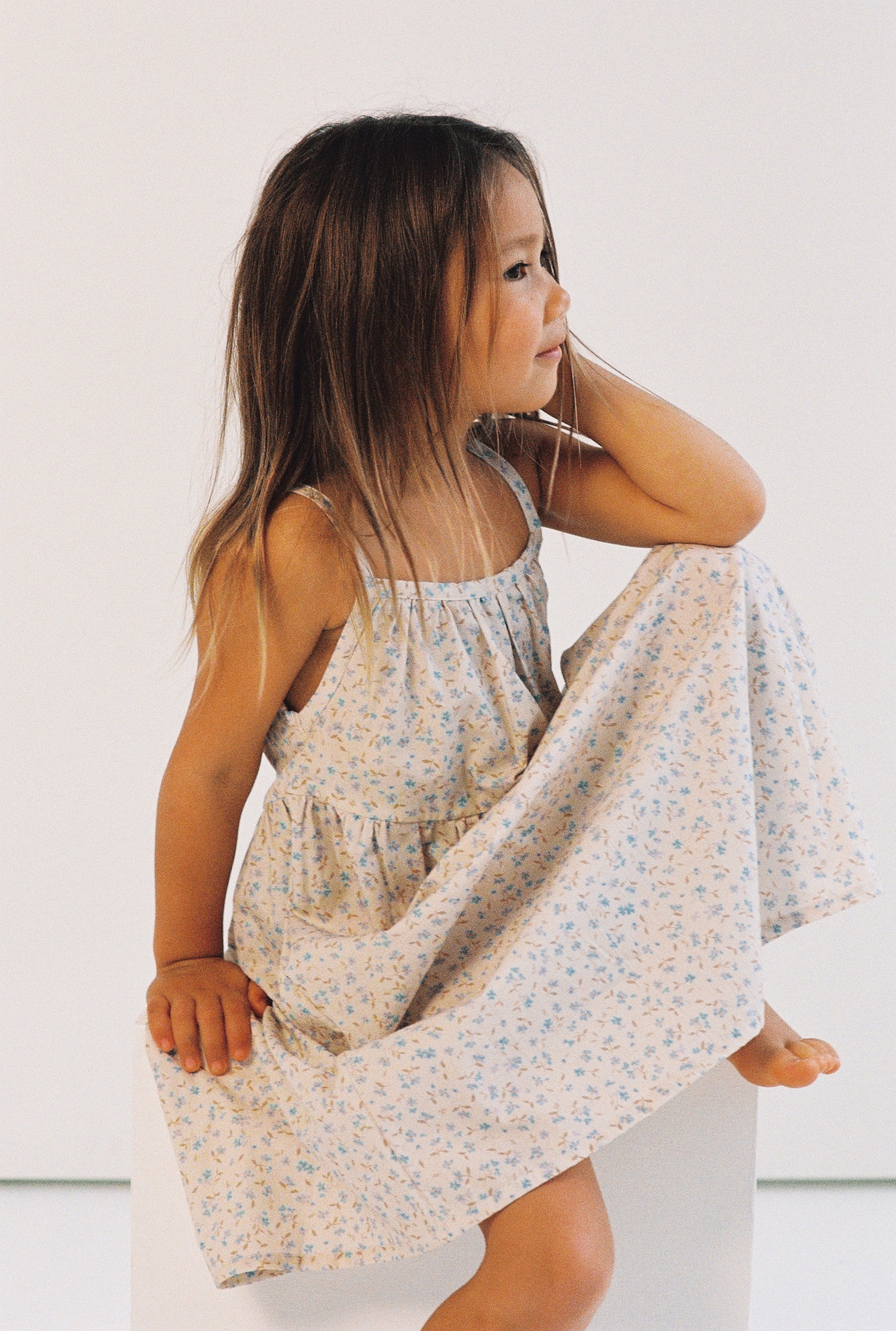 Illoura the Label Darcy Dress | Indigo Bloom