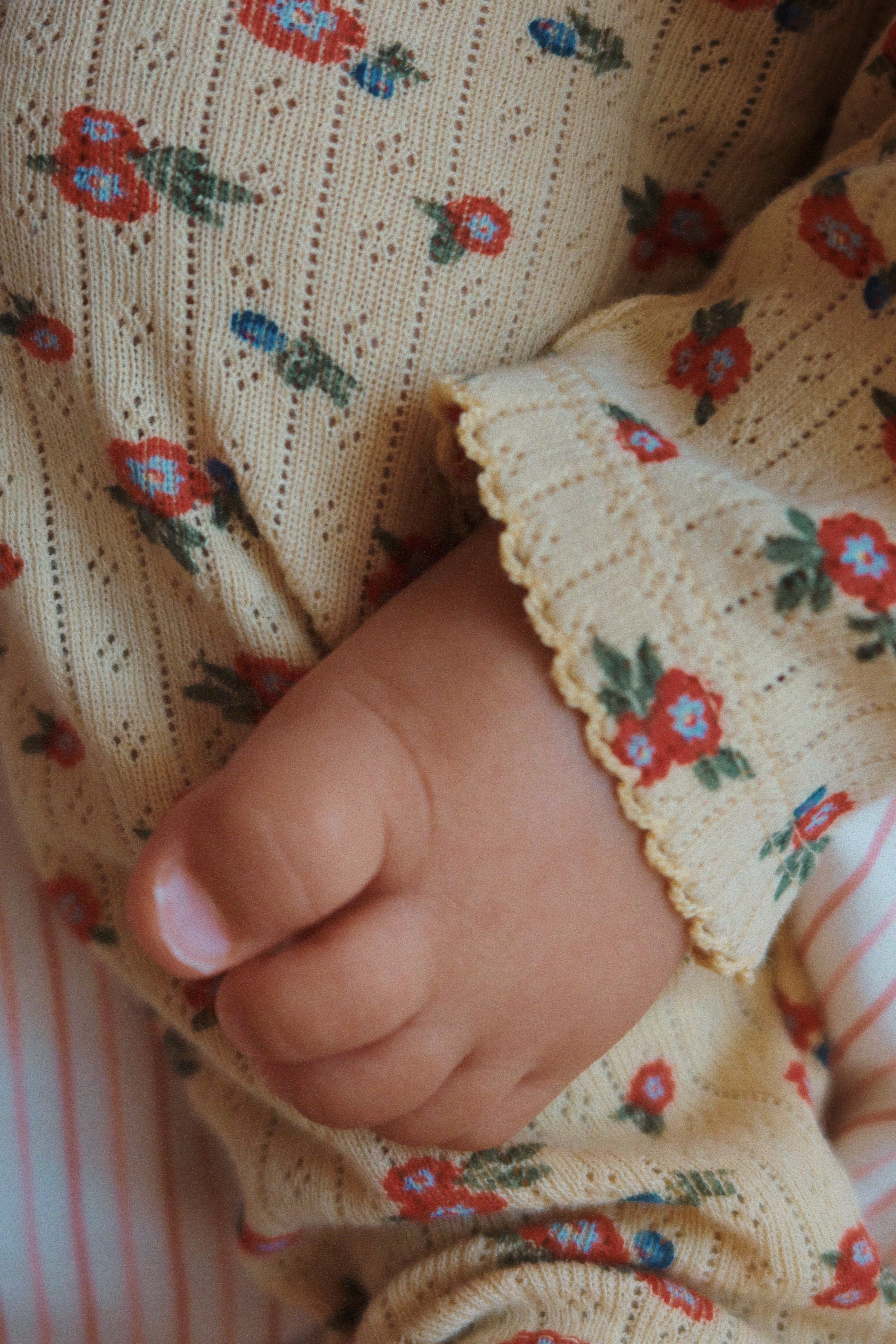 Konges Slojd Minnie Pants | Carmona